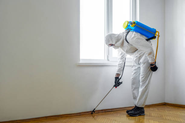 Best Pest Prevention Services  in Cornwall On Hudson, NY